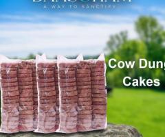 Fresh Cow Dung Cake